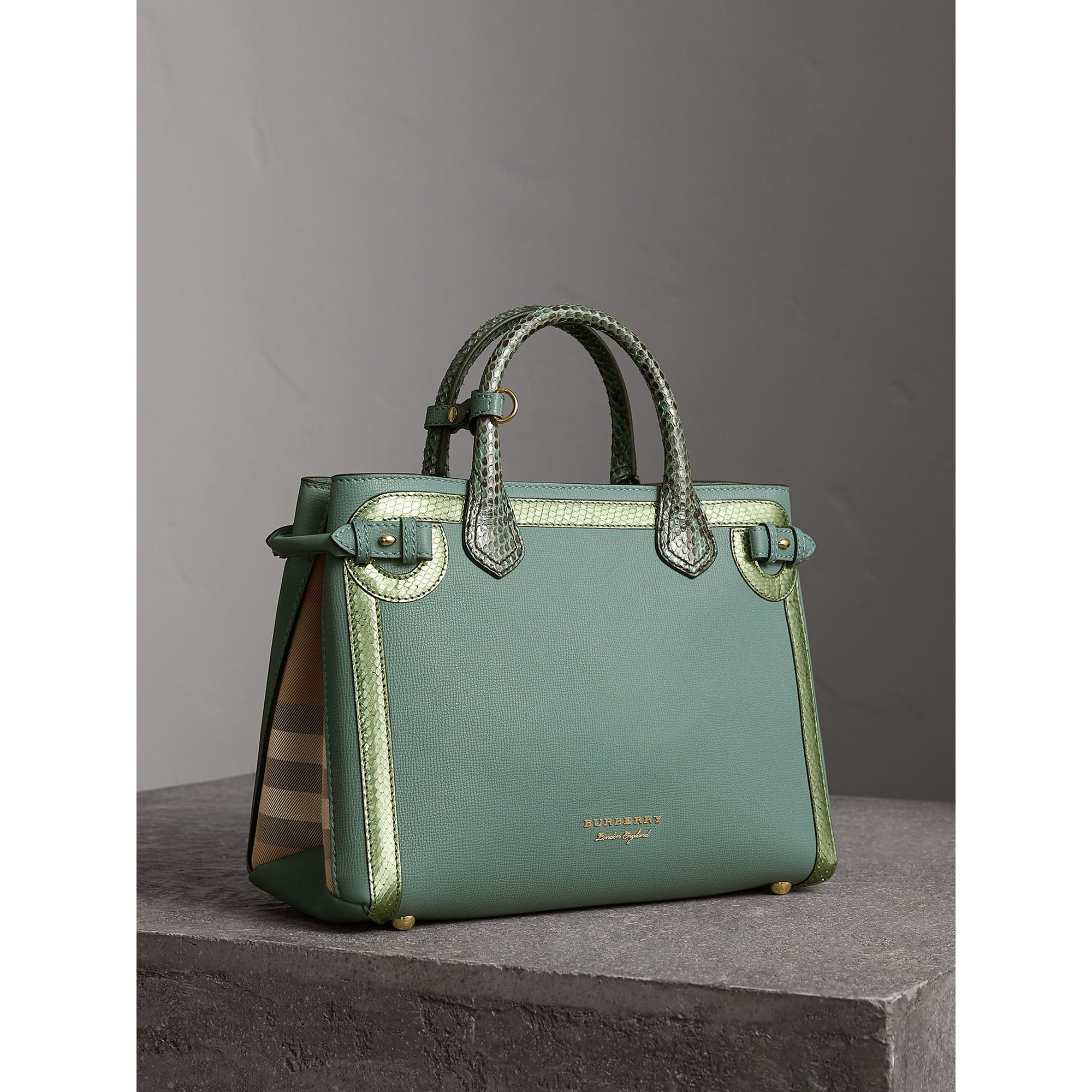 Sac The Banner medium en cuir avec appliqué en python métallisé - Celadon Blue