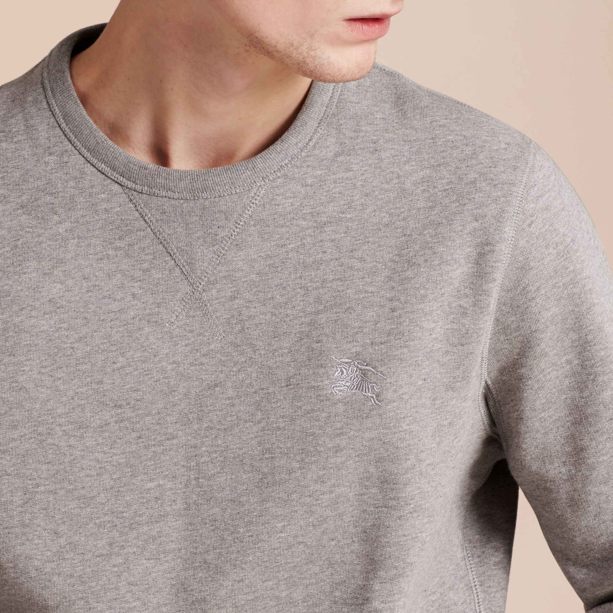 Sweat-shirt en jersey de coton mélangé - Pale Grey Melange