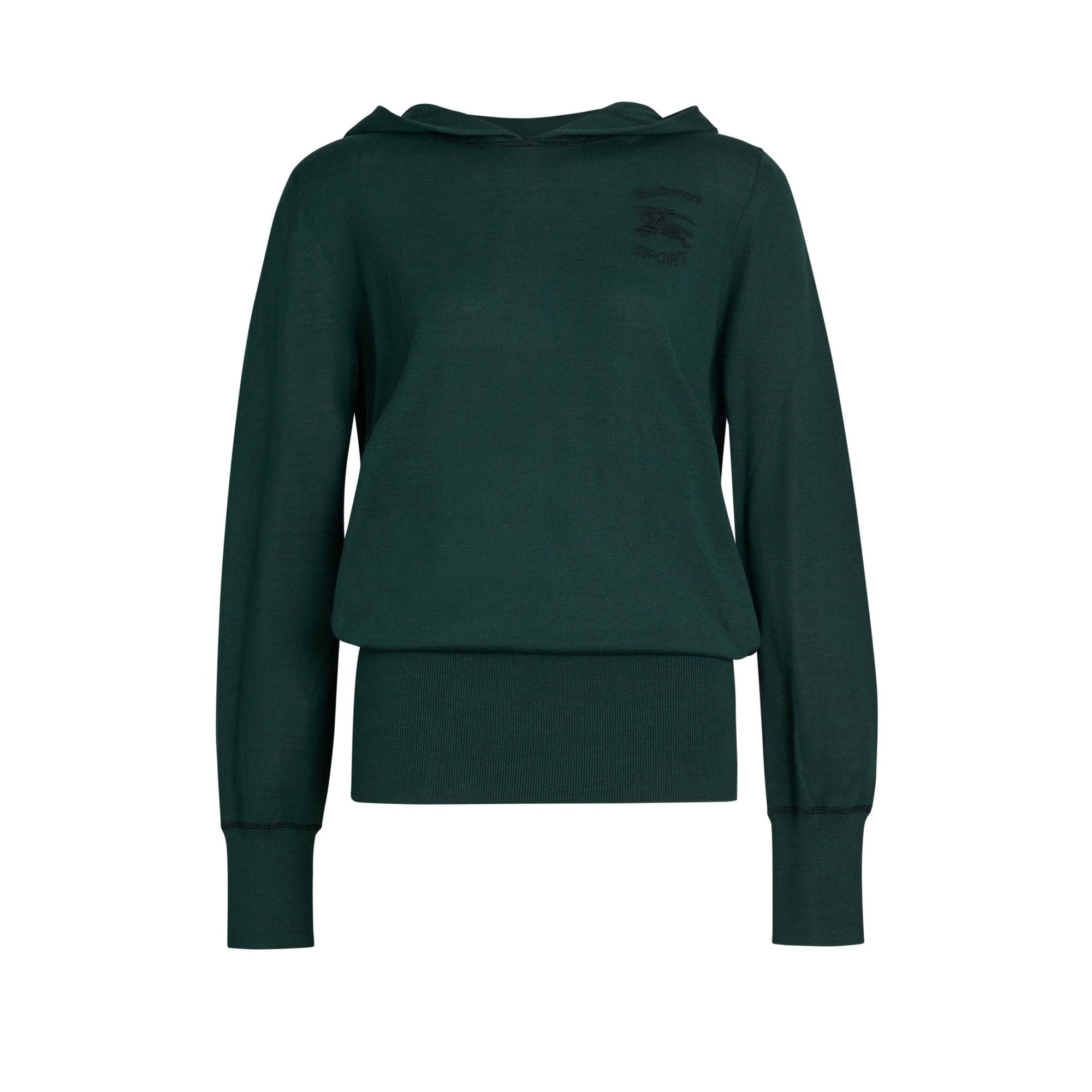 Sweat-shirt à capuche en soie et cachemire brodé - Pigment Green