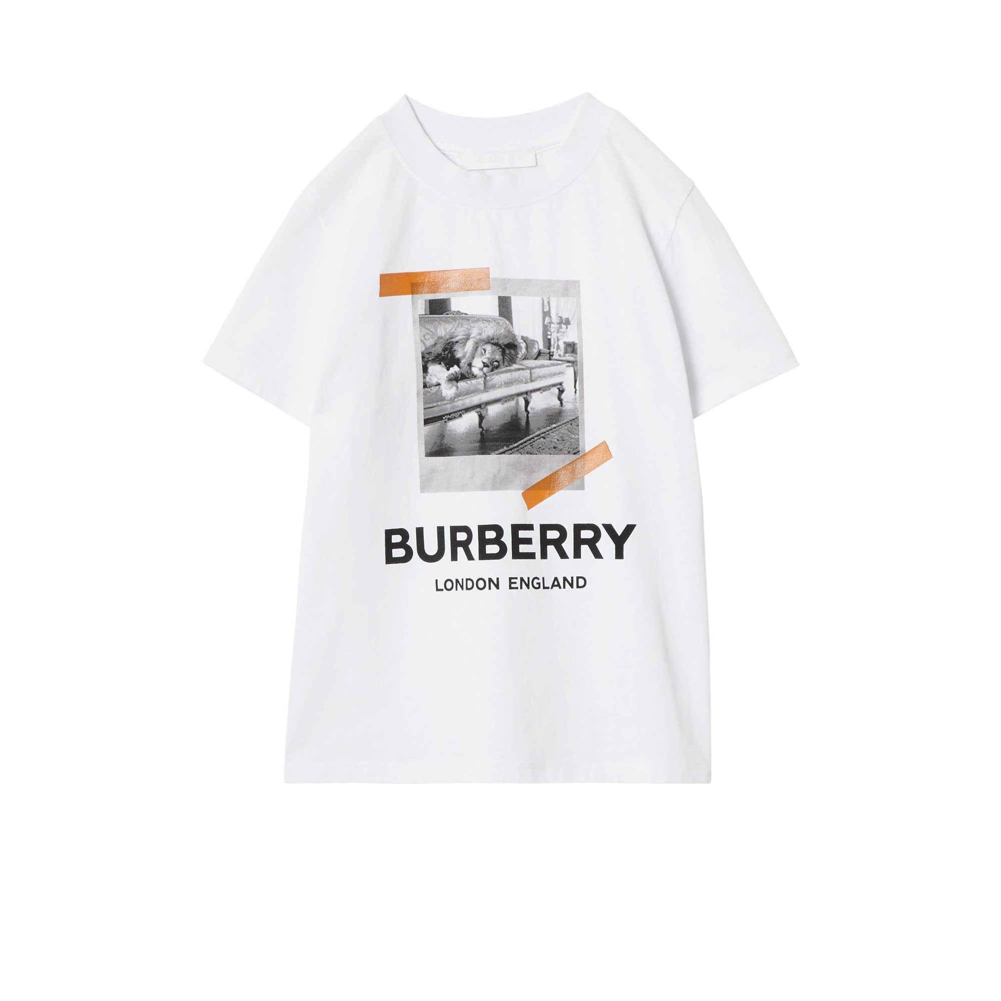 T-shirt en coton à imprimé polaroïd vintage - White