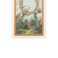 Écharpe légère en cachemire à imprimé singe - Opal Green