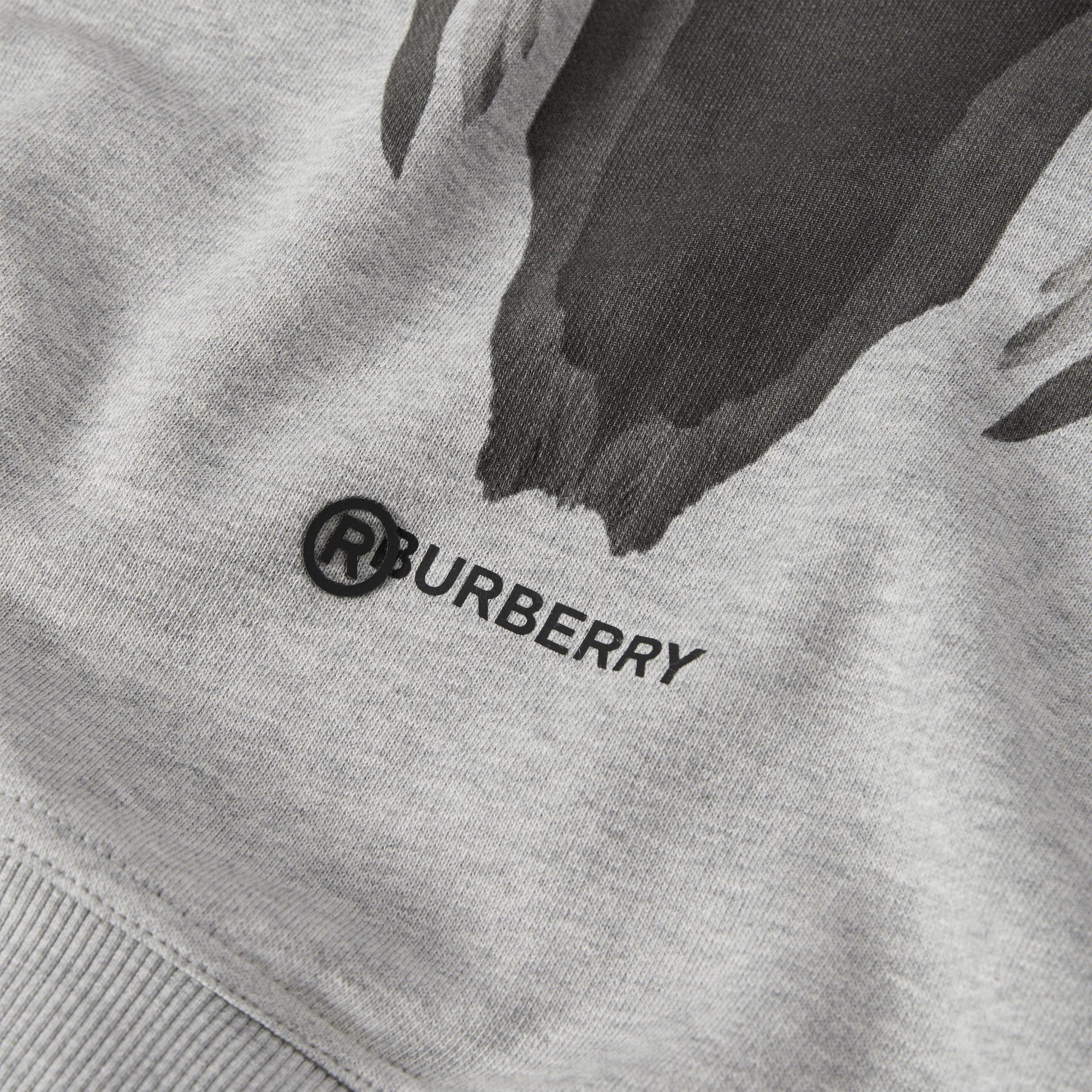 Hoodie en coton à imprimé montage - Pale Grey Melange