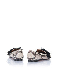 WILD EXOTIQUE 10 - Roche brillante