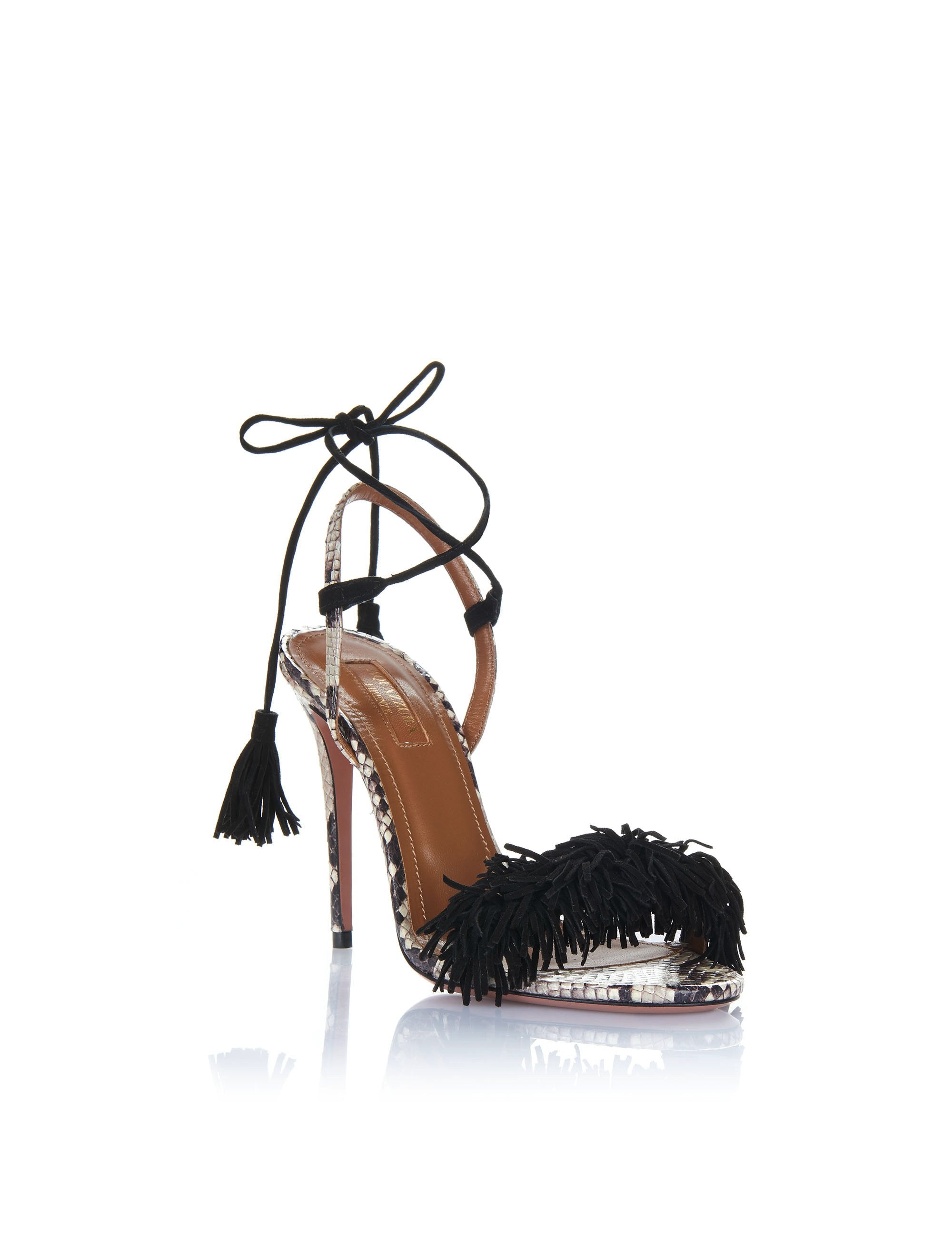 WILD THING EXOTIQUE 105 - Roche brillante